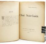 Chat Noir-Guide